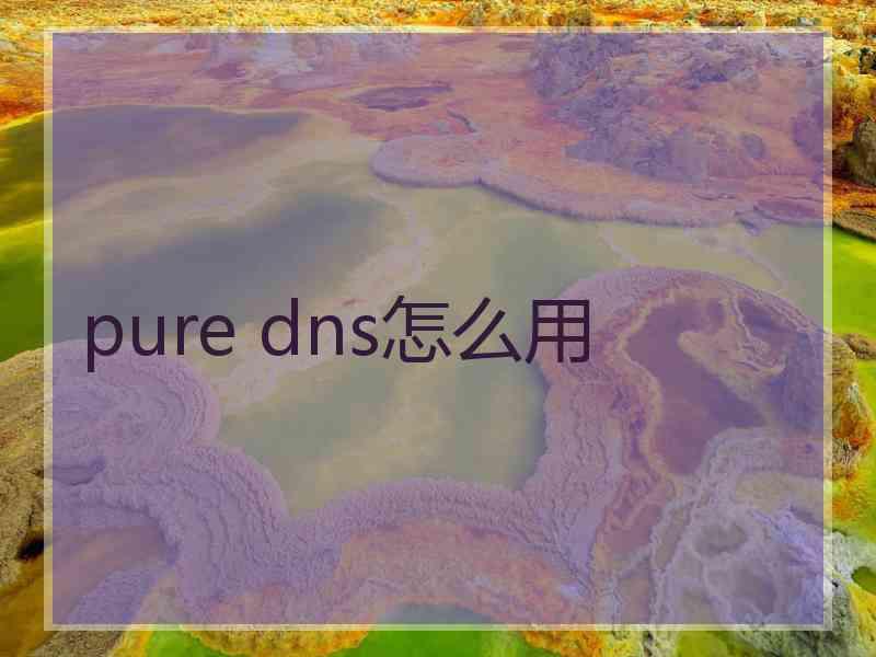pure dns怎么用