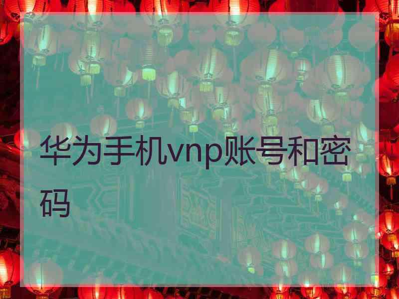 华为手机vnp账号和密码