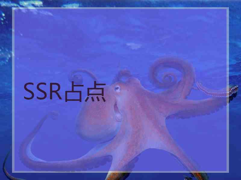 SSR占点