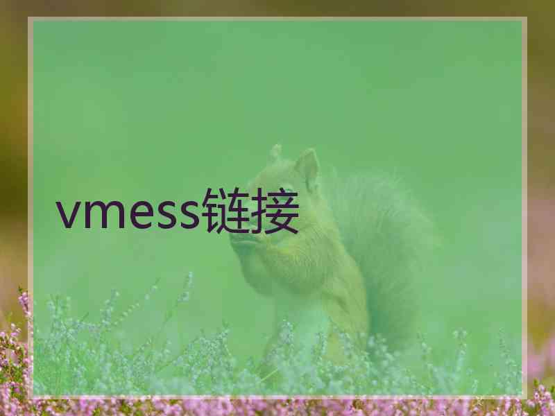 vmess链接
