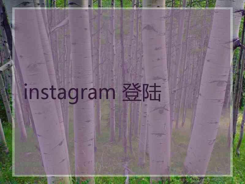 instagram 登陆