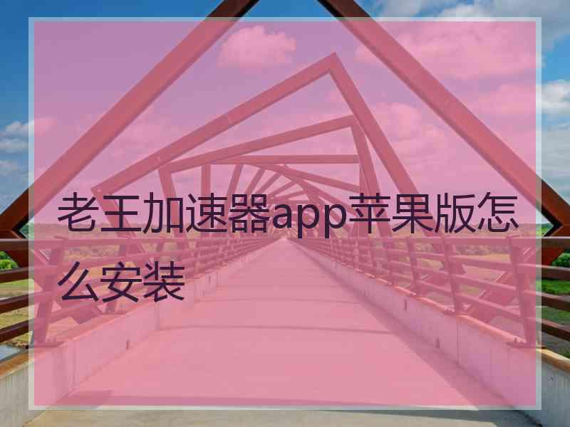 老王加速器app苹果版怎么安装