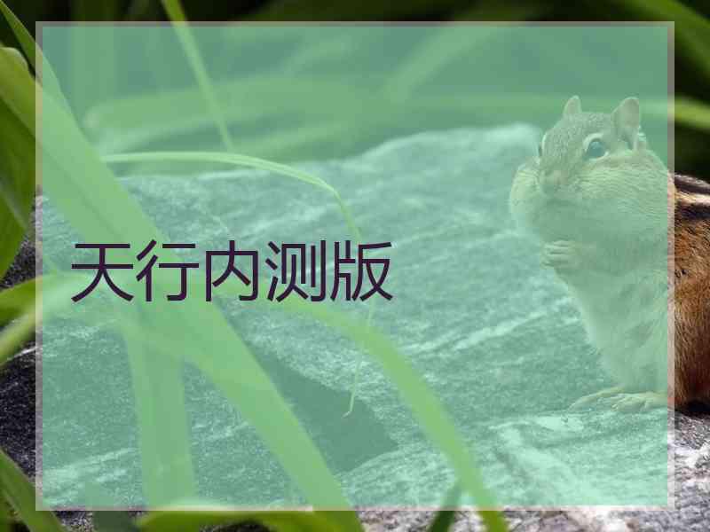 天行内测版