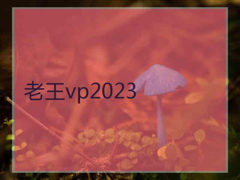 老王vp2023