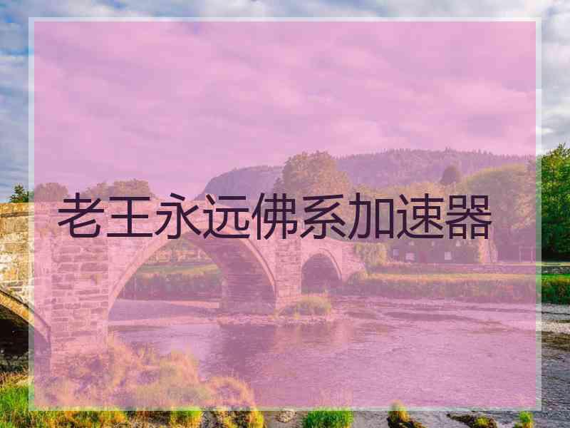 老王永远佛系加速器