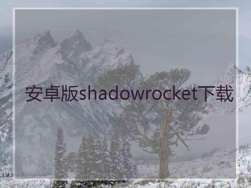 安卓版shadowrocket下载