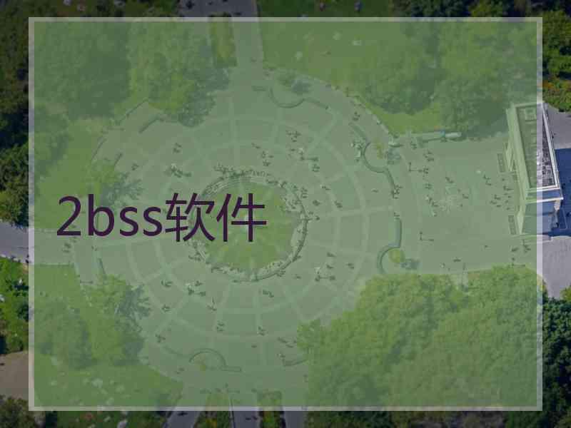 2bss软件
