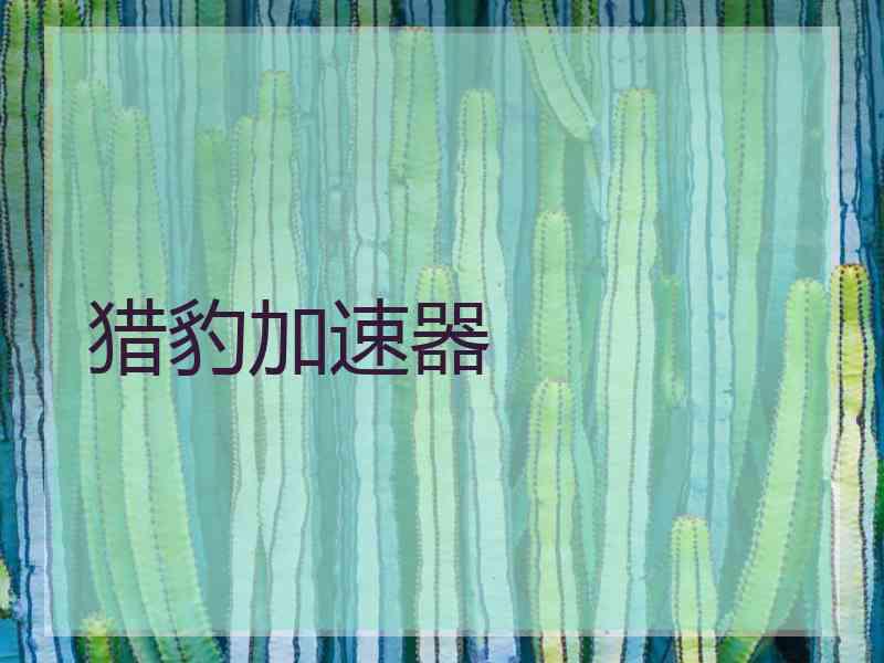 猎豹加速器