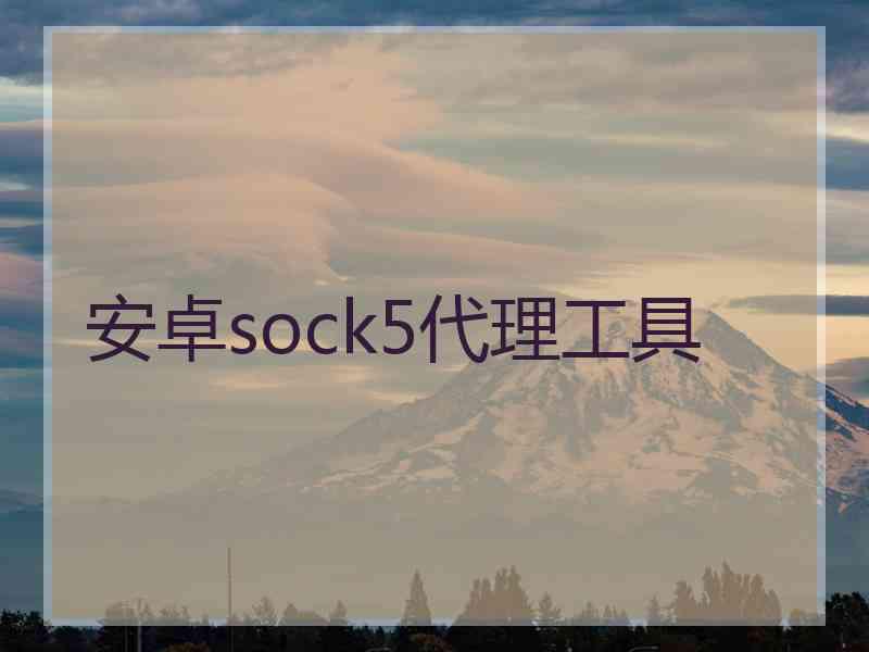 安卓sock5代理工具