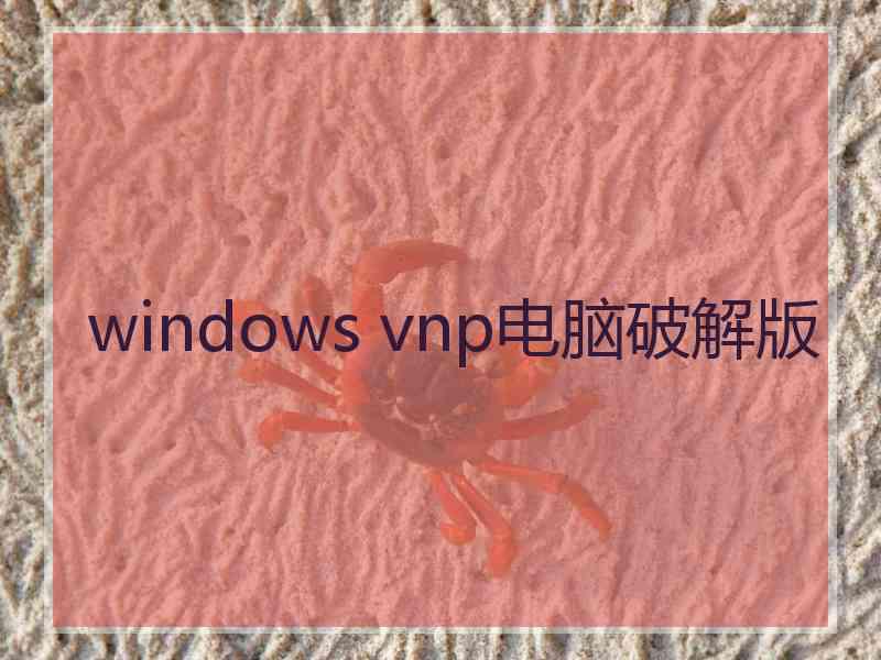 windows vnp电脑破解版