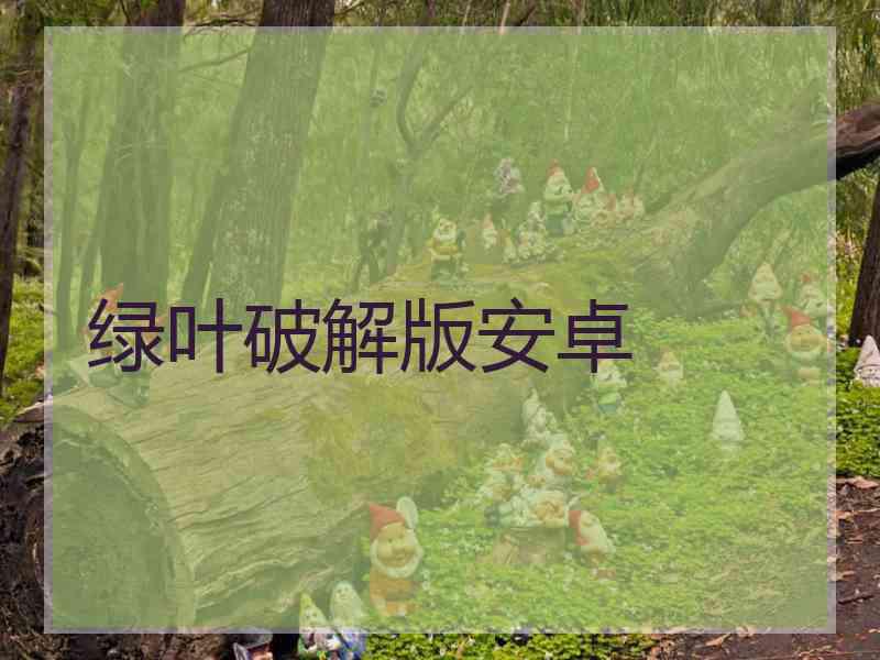 绿叶破解版安卓
