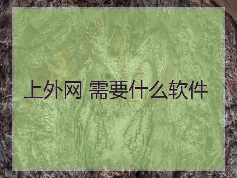 上外网 需要什么软件