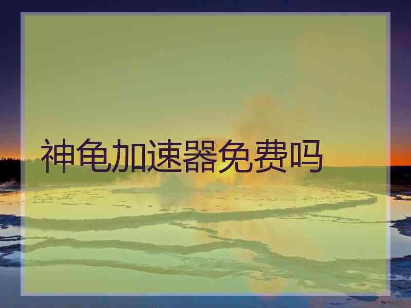 神龟加速器免费吗
