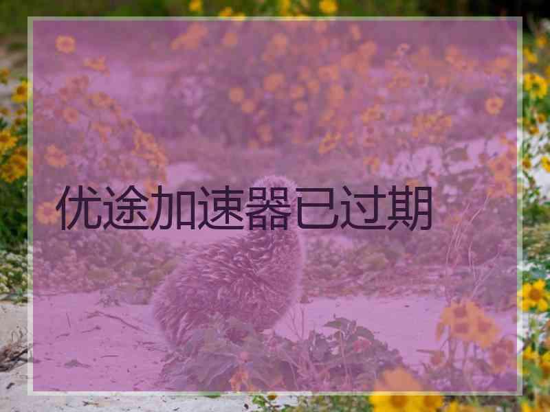 优途加速器已过期