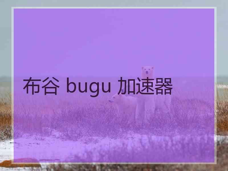 布谷 bugu 加速器