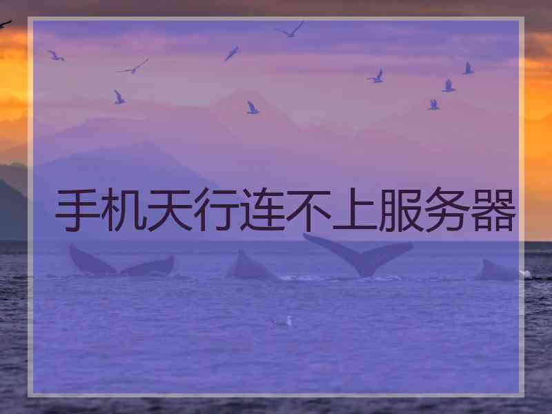 手机天行连不上服务器