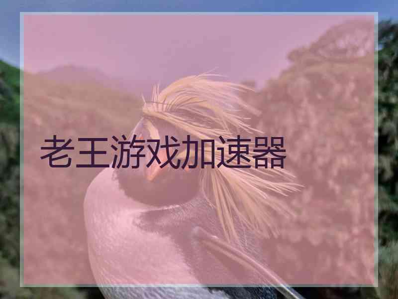 老王游戏加速器