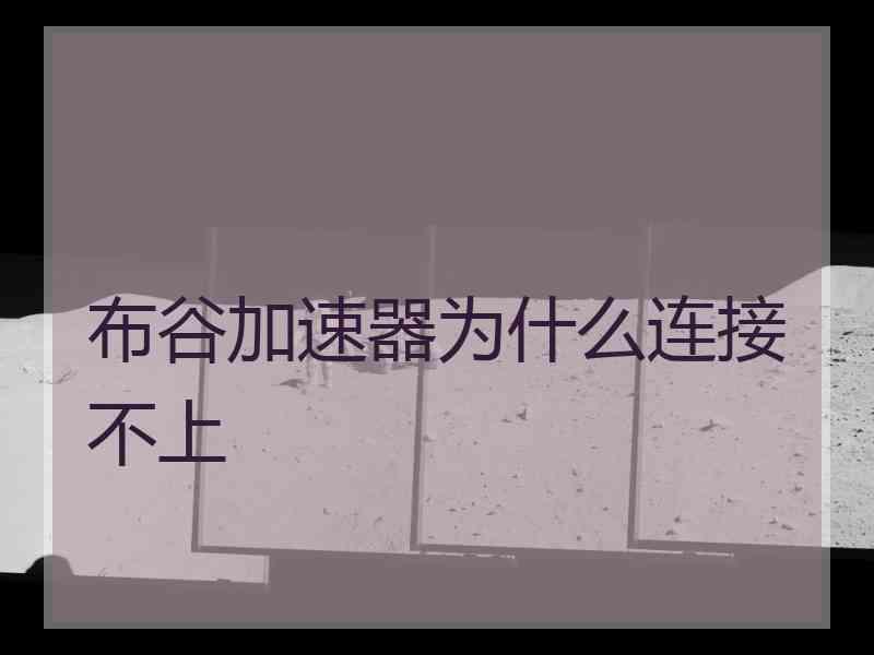 布谷加速器为什么连接不上