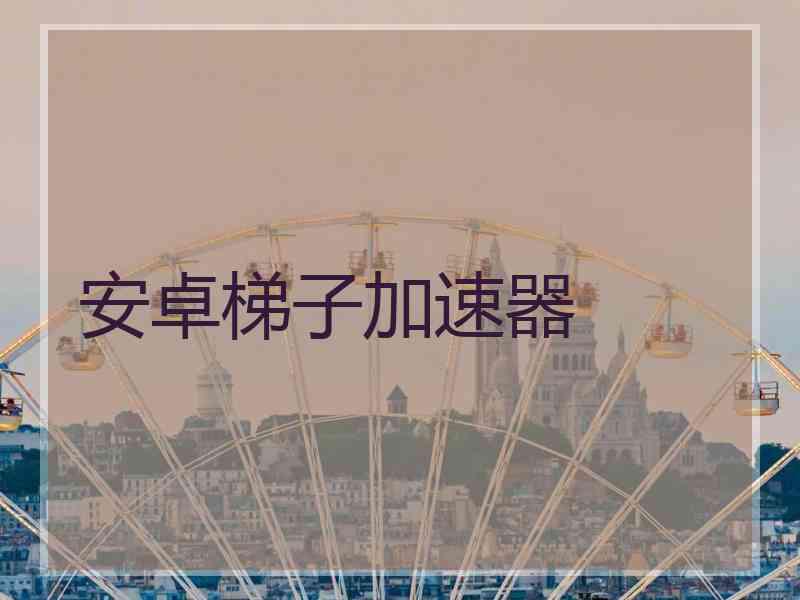 安卓梯子加速器