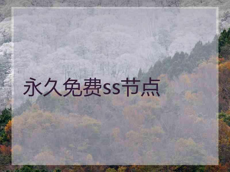 永久免费ss节点