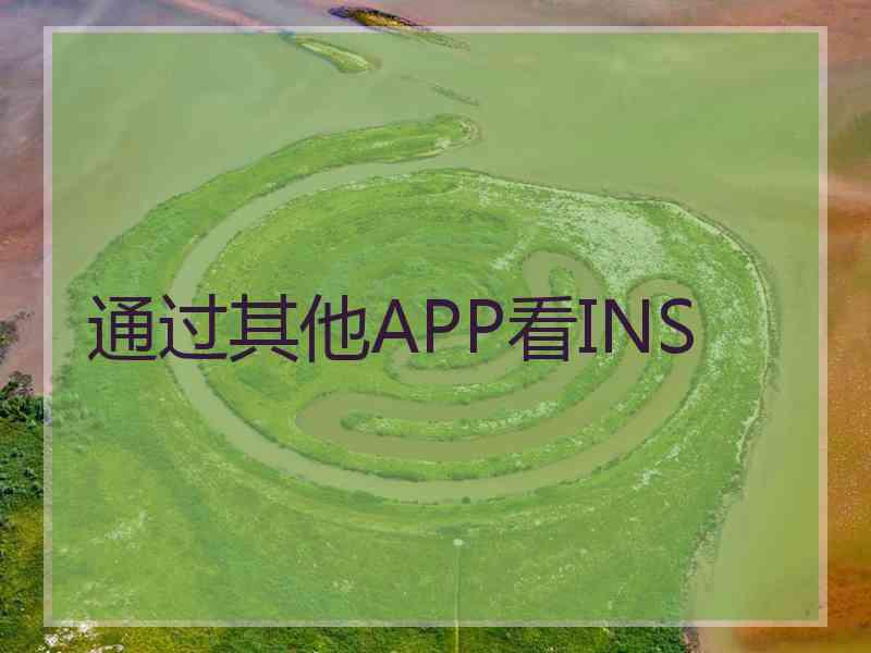 通过其他APP看INS