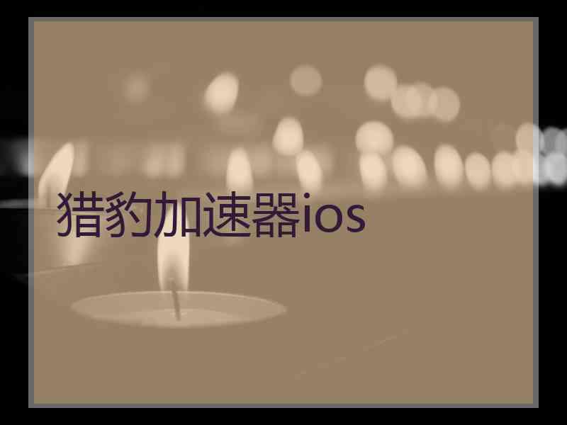猎豹加速器ios