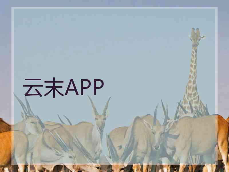 云末APP