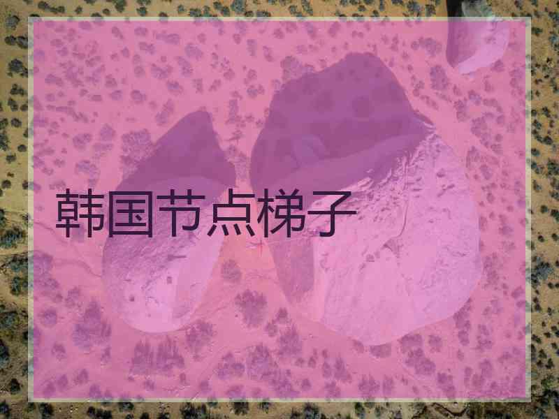 韩国节点梯子