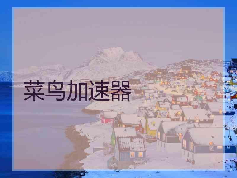 菜鸟加速器