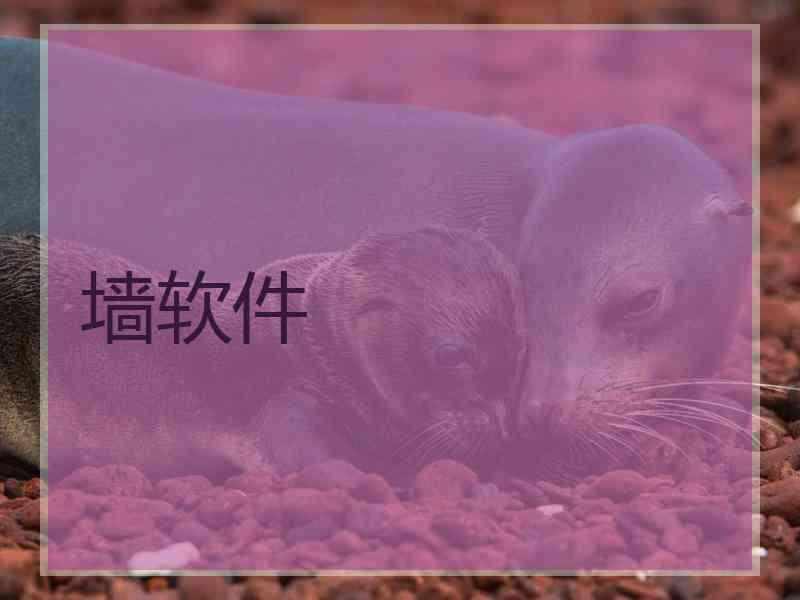 墙软件